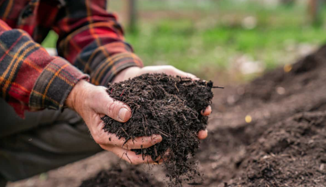 PSA Ecuador | ¿Qué es el Compost? | Sustentabilidad